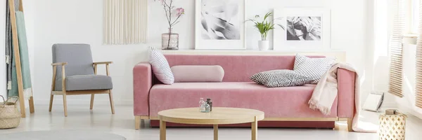 Poltrona Modelado Lado Sofá Rosa Com Almofadas Mesa Redonda Plantas — Fotografia de Stock