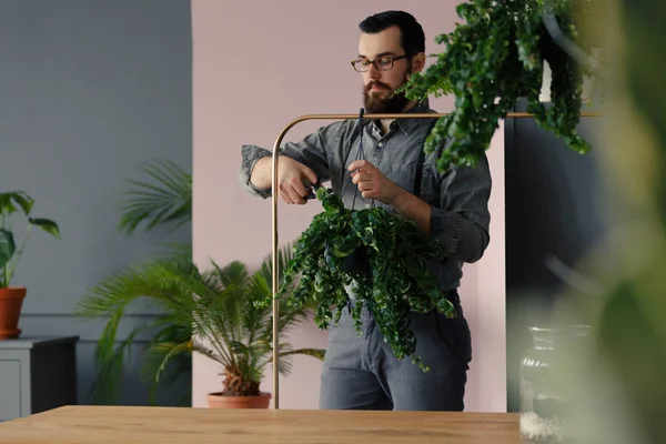 Tuinman Met Baard Snijden Bladeren Van Een Plant Orangerie — Stockfoto