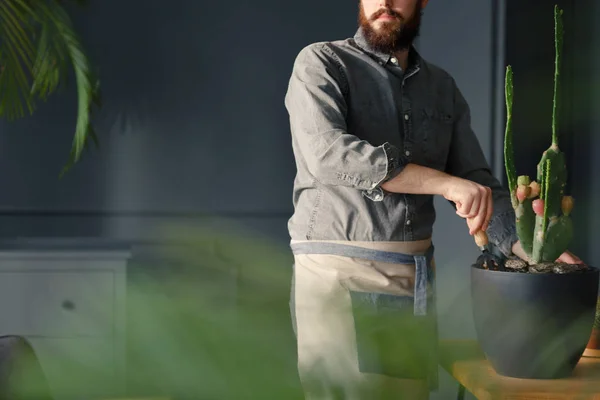 Close Jardineiro Com Barba Vestindo Terno Trabalho Cuidando Cacto — Fotografia de Stock