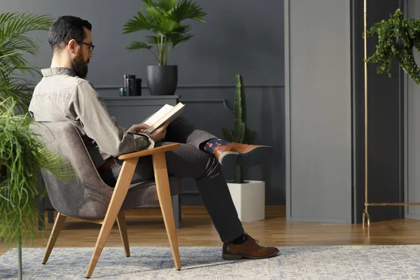 Gri koltukta oturan ve modern iç tesisleri ile bir kitap okuma sakallı