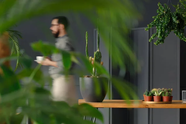 肉质植物和仙人掌在木桌上 模糊的园丁和植物 — 图库照片