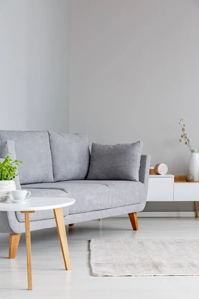 一个灰色沙发站在一个简单的 灰色的客厅内部的一个小桌子和一个橱柜的真实照片 — 图库照片