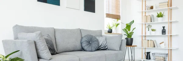 Panorama Travesseiros Sofá Confortável Cinza Estilo Scandi Estante Madeira Por — Fotografia de Stock