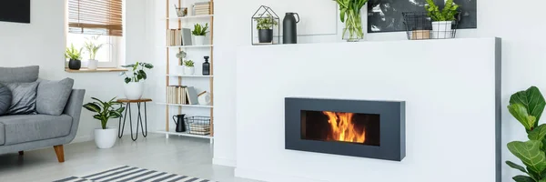 白い壁 木製の家具や植物をモダンな単色のアパートのリビング ルームのインテリアでスタイリッシュな明るいバイオ暖炉 — ストック写真