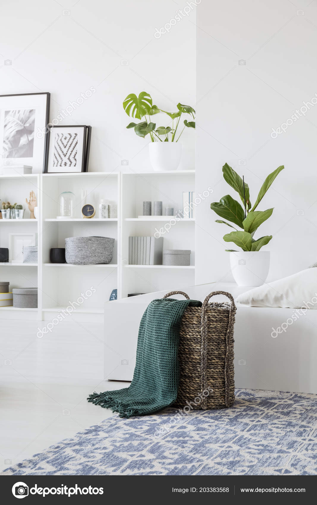 Green Blanket Basket Carpet White Living Room Interior Plant Posters