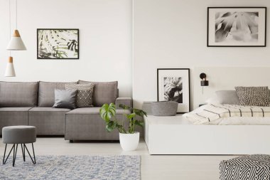 Tek odalı daire duvar ve halı bir katta posterleri ile gri bir kanepe yanında bir büyük platform yatak durduğunu gerçek fotoğraf
