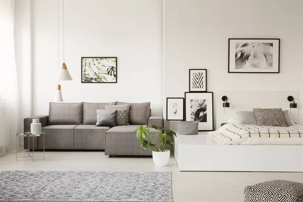 Galerij Van Posters Plant Witte Appartement Interieur Met Bank Bed — Stockfoto