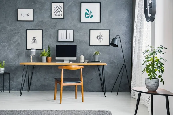 Planta Sobre Mesa Cerca Silla Madera Escritorio Con Ordenador Sobremesa —  Fotos de Stock