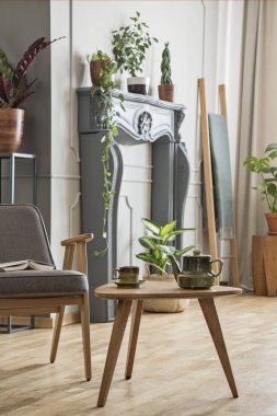 Ahşap masa retro oturma odası iç bitkiler ile gri tekli yanında. Gerçek fotoğraf