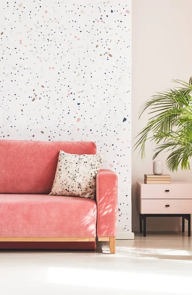 Pink couch with cushion against patterned wall in living room interior with plant. Real photo