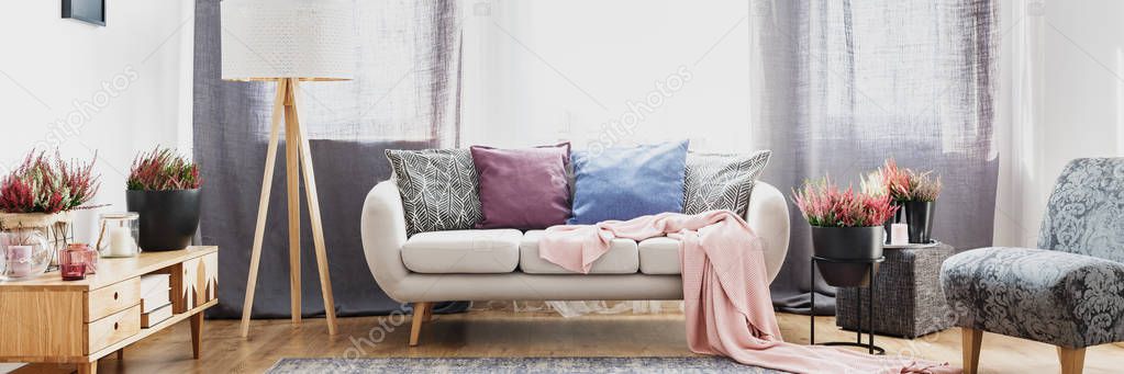 Colorful pillows on settee with pink blanket in living room interior with grey armchair and heathers on wooden cupboard