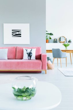 Gri tekli ve arka plan ve bir resim yukarıda pembe kanepe oturma odasında ahşap masalı bir çevirmen için daire iç. Gerçek fotoğraf