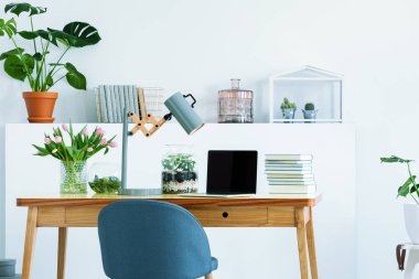 Kitap, dizüstü bilgisayar ve lamba ile çalışma alanı çiçekli Beyaz iç ahşap masa mavi sandalye. Gerçek fotoğraf