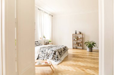 Gerçek fotoğraf geniş yatak odası iç bir yatak, tepsi ile tatlı katta, bitki ve raf içinde belgili tanımlık geçmiş. Kapıdan görüntülemek