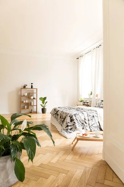 Spacious Bedroom Interior Plant Wooden Floor Bed Bookshelf Tray Floor — Stock Photo, Image