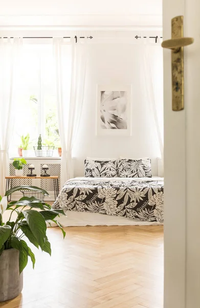 식물과 침대와 인테리어에 열린된 — 스톡 사진