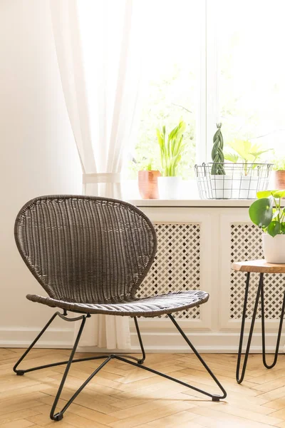 Moderna Silla Negra Junto Mesa Con Planta Luminoso Salón Interior — Foto de Stock