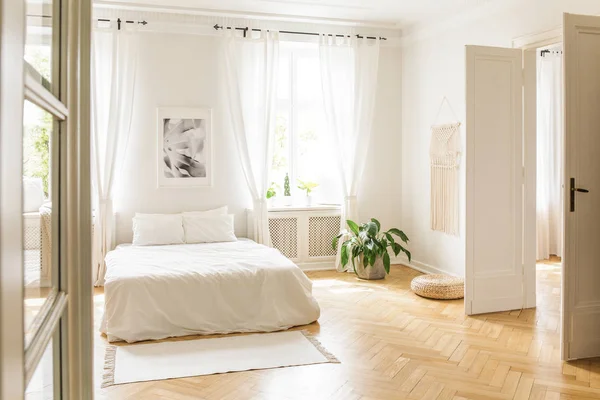 植物とウィンドウの明るい寝室のインテリアで枕と白いベッド上のポスター 実際の写真 — ストック写真