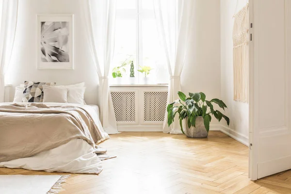 Plante Près Lit Avec Couverture Intérieur Chambre Blanche Avec Affiche — Photo