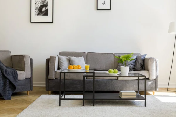Pflanze Auf Schwarzem Tisch Vor Grauem Sofa Wohnzimmerinnenraum Mit Sessel — Stockfoto