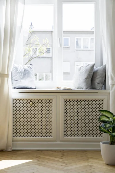 Kissen Auf Der Fensterbank Hellen Einfachen Wohnzimmerinnenraum Mit Pflanzen Und — Stockfoto