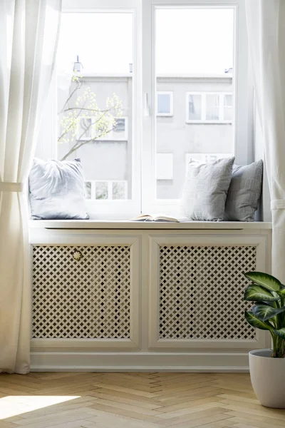 Kussens Vensterbank Heldere Eenvoudige Woonkamer Interieur Met Planten Gordijnen Echte — Stockfoto