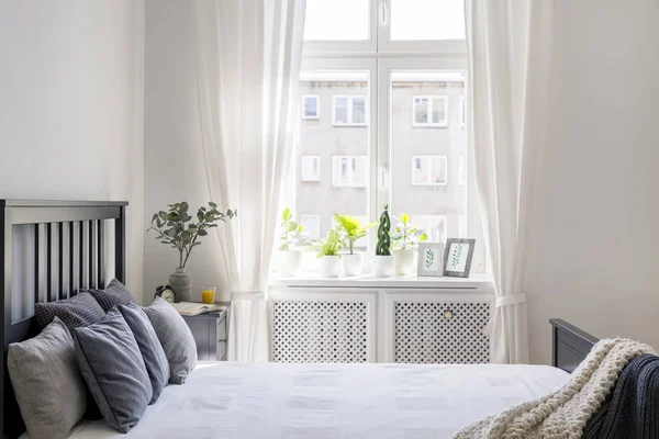 Brei Deken Kussens Bed Witte Hotel Slaapkamer Interieur Met Gordijnen — Stockfoto