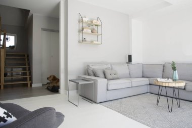 Tek renkli salon iç halı üzerinde ahşap masa ile gri köşe kanepe. Gerçek fotoğraf