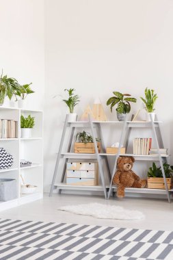 Parlak genç odası iç bitkiler üzerinde üçgen raflar ile desenli halı. Gerçek fotoğraf