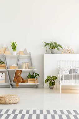 Taze yeşil bitkiler parlak SCANDI genç odası iç kitap ve oyuncak ayı ve metal yatak ile ahşap gri raflarla gerçek fotoğraf yerleştirilir