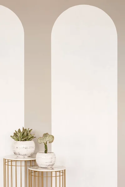 Rostliny Zlaté Tabulky Prázdný Bílý Interiér Kopií Prostor Zdi Reálné — Stock fotografie