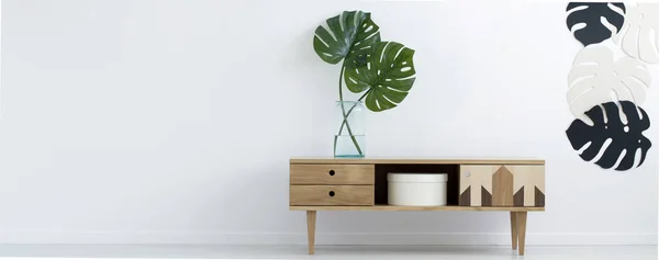 Træ Retro Skab Med Friske Monstera Deliciosa Blade Glas Vase - Stock-foto