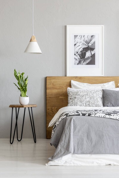 Plant on table next to wooden bed in grey bedroom interior with lamp and poster. Real photo