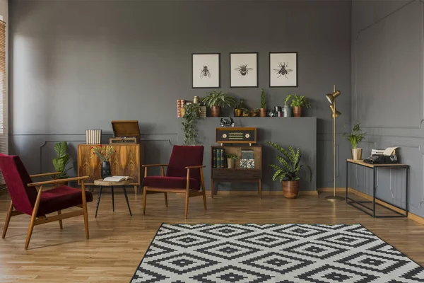 Tapis Motifs Dans Salon Gris Intérieur Avec Fauteuils Affiches Bois — Photo