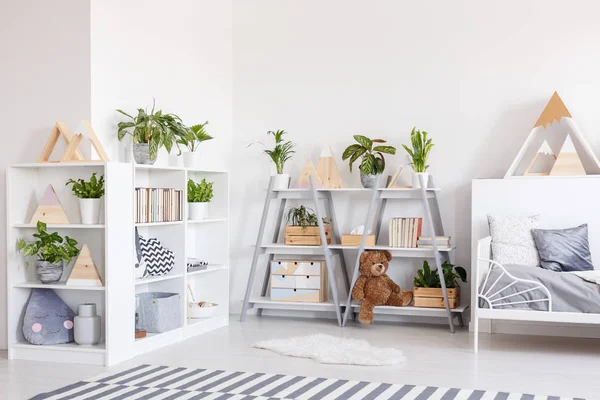 Plantes Sur Des Étagères Dans Scandi Chambre Grise Intérieur Avec — Photo