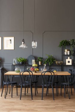 Black chairs at wooden table in grey dining room interior with lamps and plants. Real photo clipart