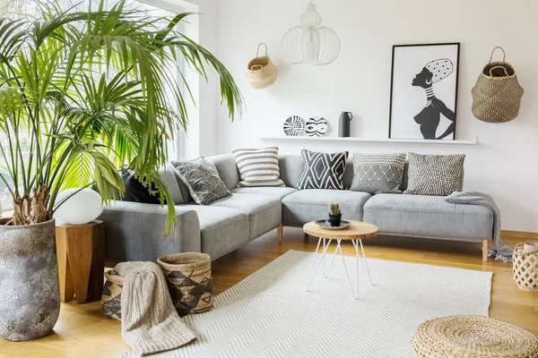 Plant Next Grey Corner Sofa African Living Room Interior Poster — Stock Photo, Image