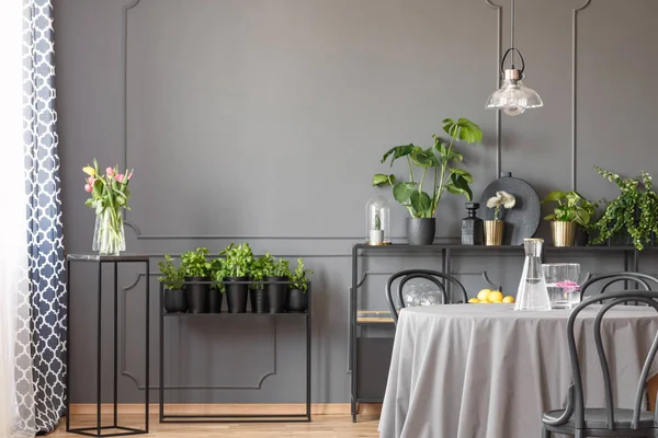 Flores Plantas Rosadas Interior Del Comedor Gris Con Lámpara Encima — Foto de Stock