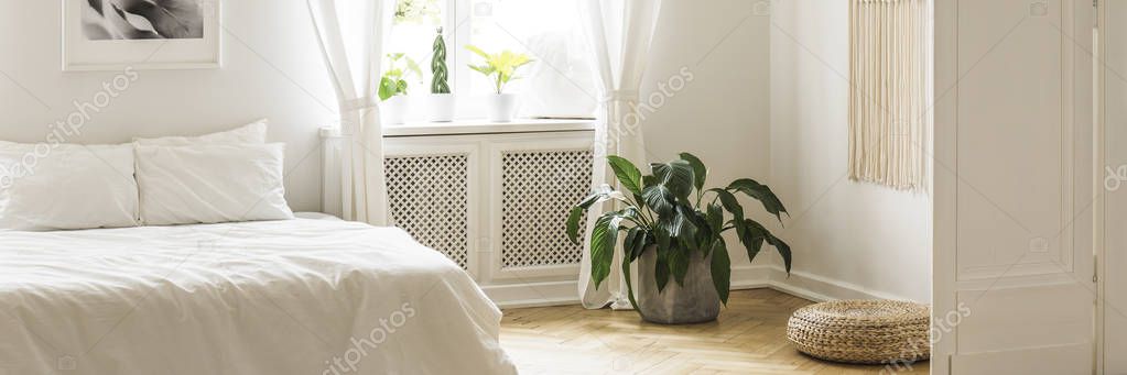 Real photo of double bed with white bedclothes, plant standing on herringbone floor and window with drapes in bright bedroom interior