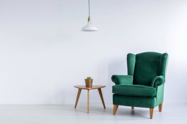Rahat, zümrüt yeşili, kanat koltuk ve bir beyaz salon iç kopya alanı ile ahşap bir masa üzerinde bir kaktüs. Gerçek fotoğraf.