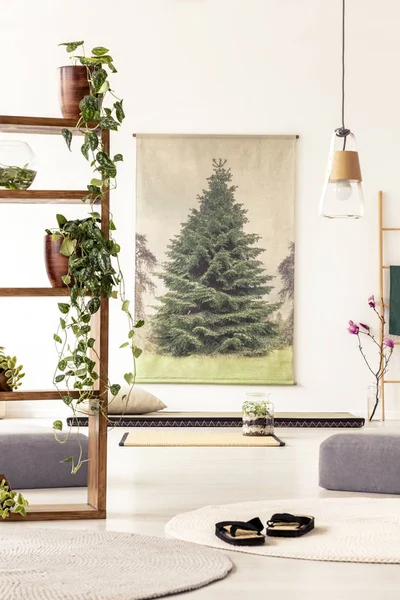 Rośliny Drewniane Półki Płaskie Wnętrze Pufy Buty Mat Diy Plakat — Zdjęcie stockowe