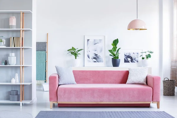 枕头在粉红色的沙发下灯在明亮的客厅内部与海报和植物 真实照片 — 图库照片