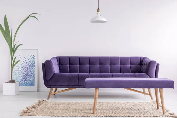 明亮的客厅内部与新鲜的植物 海报和地毯在地板上和紫色的沙发和长凳在真实相片与空的墙壁 — 图库照片