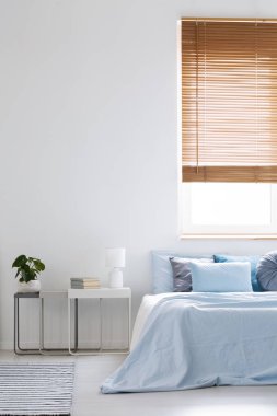 Başucundaki taze yeşil bitki, kitaplar ve lamba ayakta parlak yatak odası iç mavi yatak yatak yanında