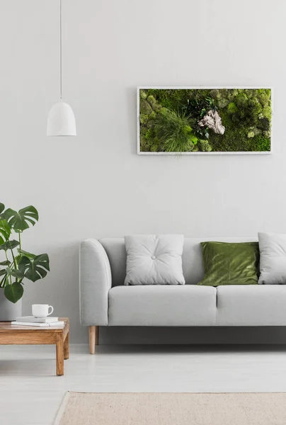 Framed, green moss garden on a white wall in a trendy living room interior with an elegant, gray sofa and a wooden table. Real photo.