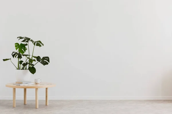 Planta Sobre Mesa Madera Contra Pared Vacía Blanca Con Espacio —  Fotos de Stock