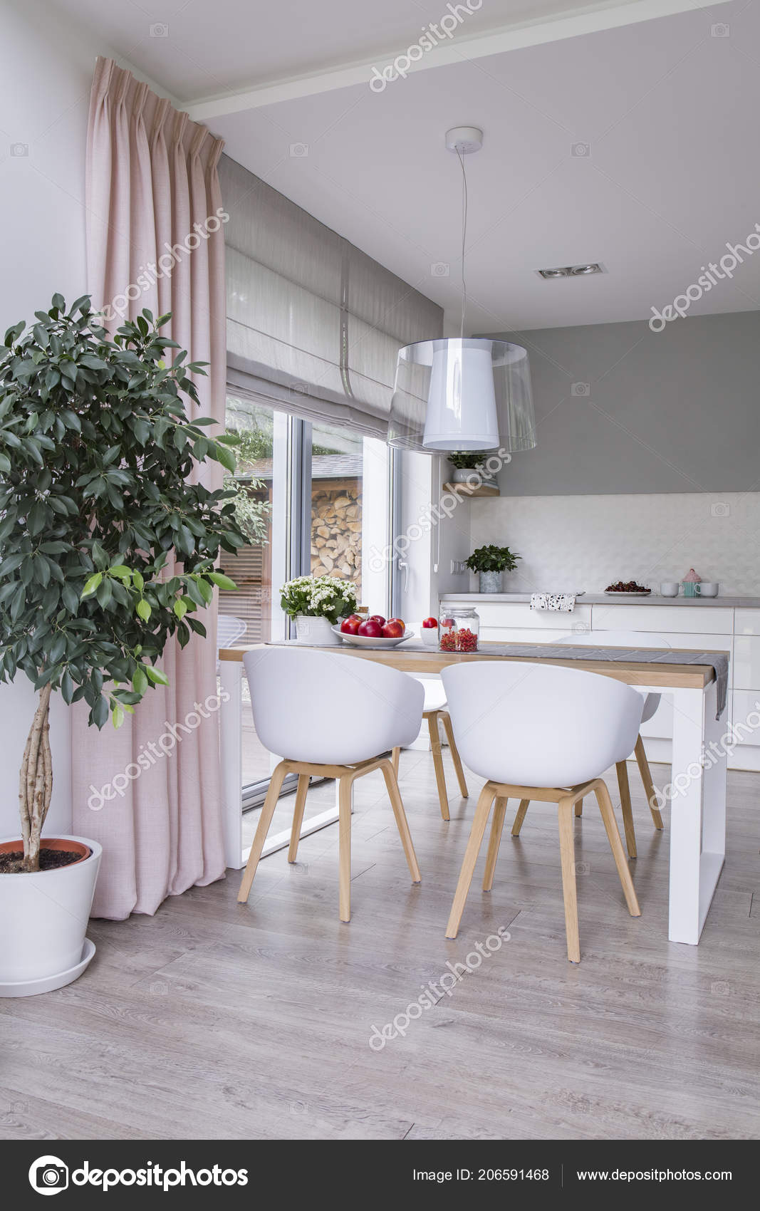 Sedie Tavolo Sala Pranzo Moderna Interno Con Pianta Rosa