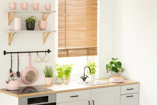 Herramientas Cocina Accesorios Plantas Hojas Ventana Estantes Pared Interior Cocina — Foto de Stock