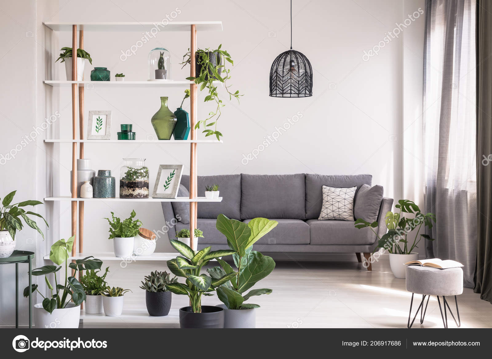 Real Photo Modern Living Room Interior Shelf Decorations Plants Grey Stock  Photo by © 206917686