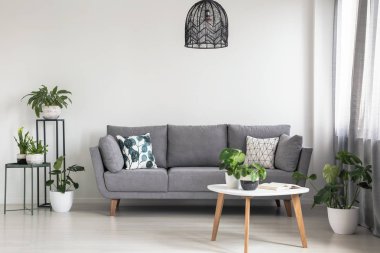 Real photo of a simple living room interior with a grey sofa, plants and coffee table